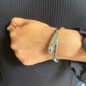Serpent Charm Anti Tarnish Bracelet