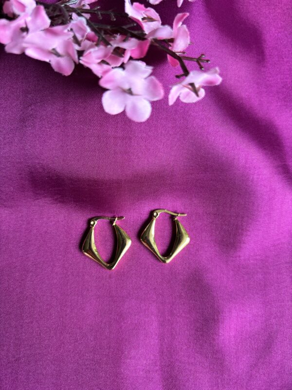 Hexa Chic Anti Tarnish Hoops