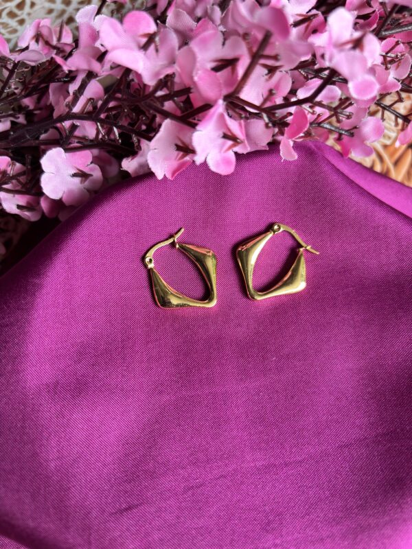 Hexa Chic Anti Tarnish Hoops - Image 2