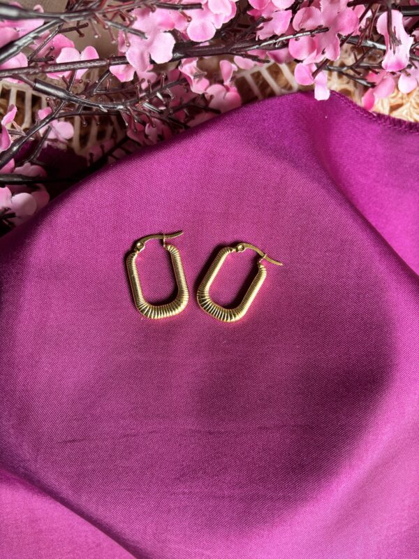 Urban Octa Anti Tarnish Hoops - Image 2