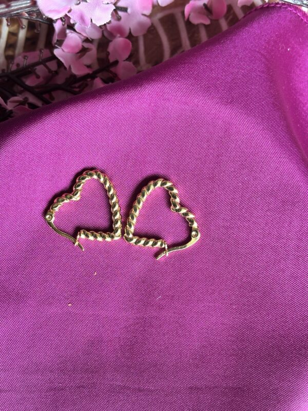 Twin Love Anti Tarnish Loop Earrings